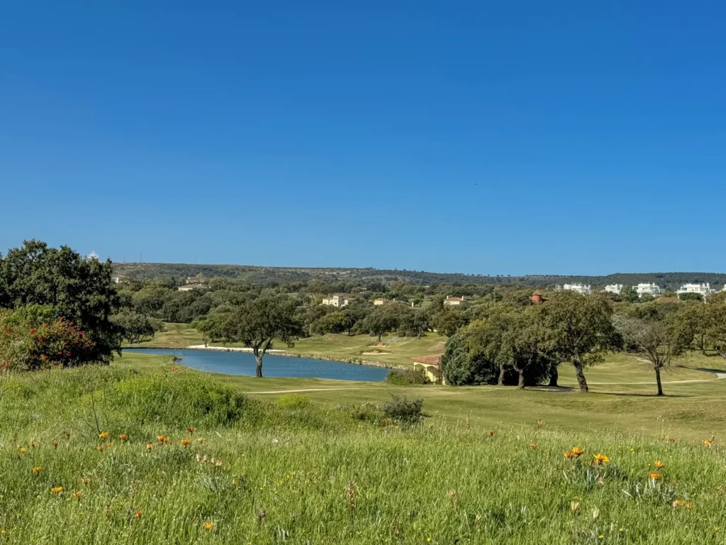 Campo de Golf en San Roque en Andalucia. Green feas en la Costa de Sol. San Roque Golf & Resort