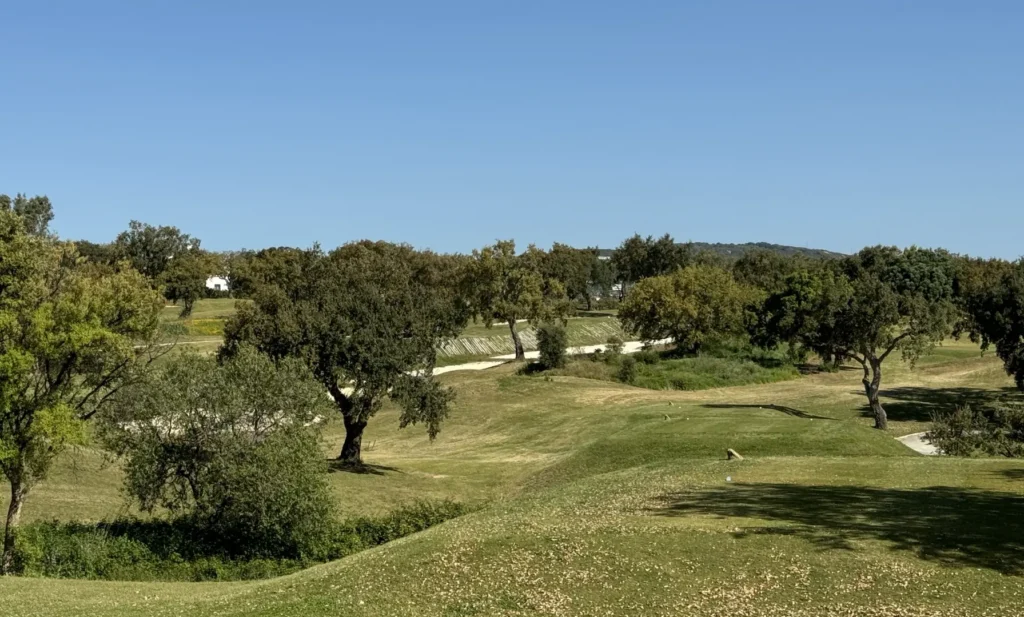 Campo de Golf en San Roque en Andalucia. Green feas en la Costa de Sol. San Roque Golf & Resort