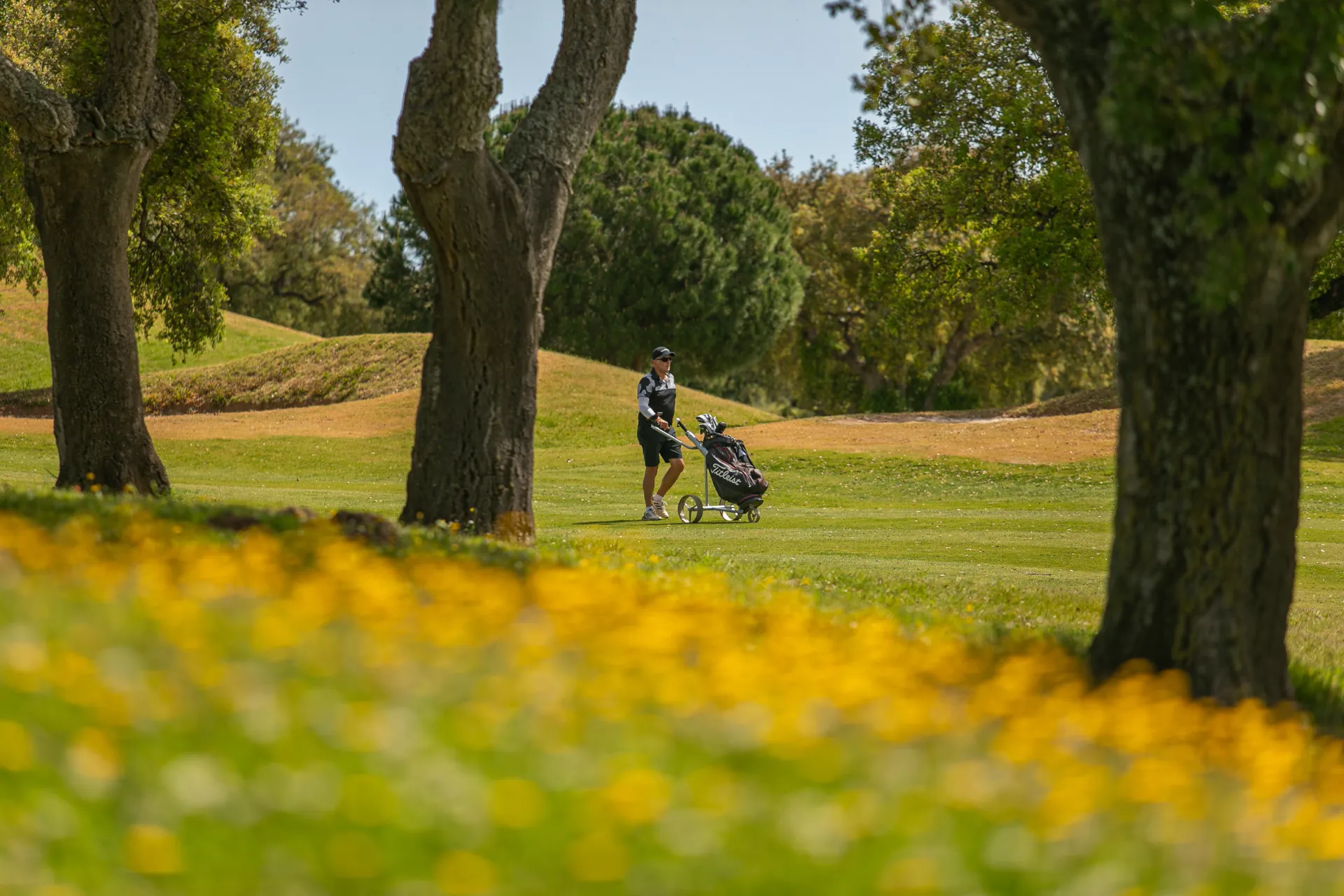 San Roque Golf & Resort - Golf Course San Roque Spain - Campo de Golf en San Roque 106