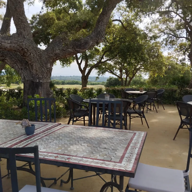 San Roque Golf & Resort - Golf Course San Roque Spain - Campo de Golf en San Roque 151